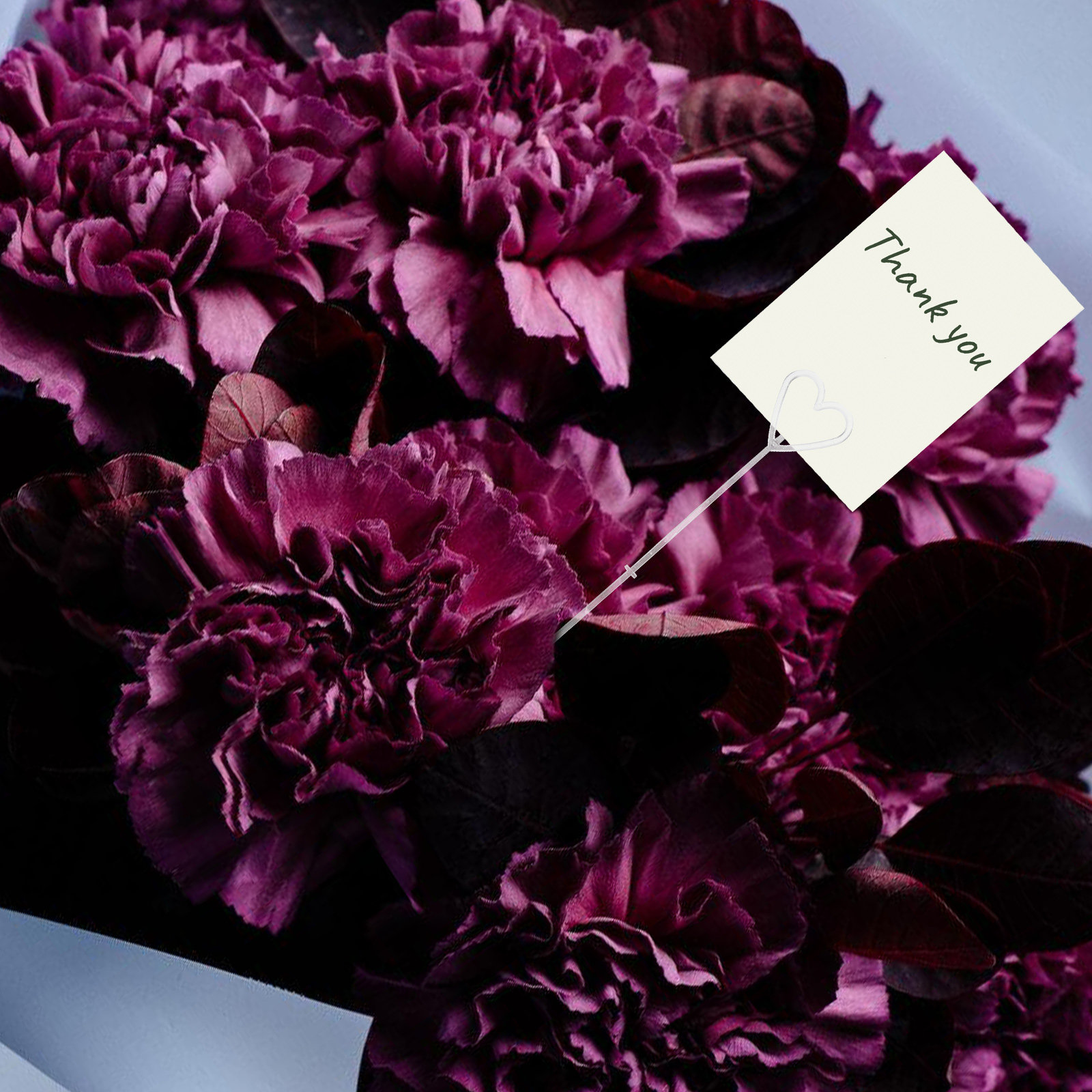 80 szt. Przezroczystych plasti – Wedding Floral Supply recenzja i cena