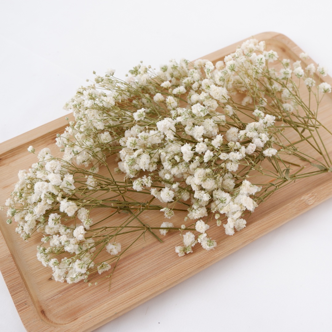 Suszone kwiaty białe mini susz – Flower Girl Basket recenzja i cena