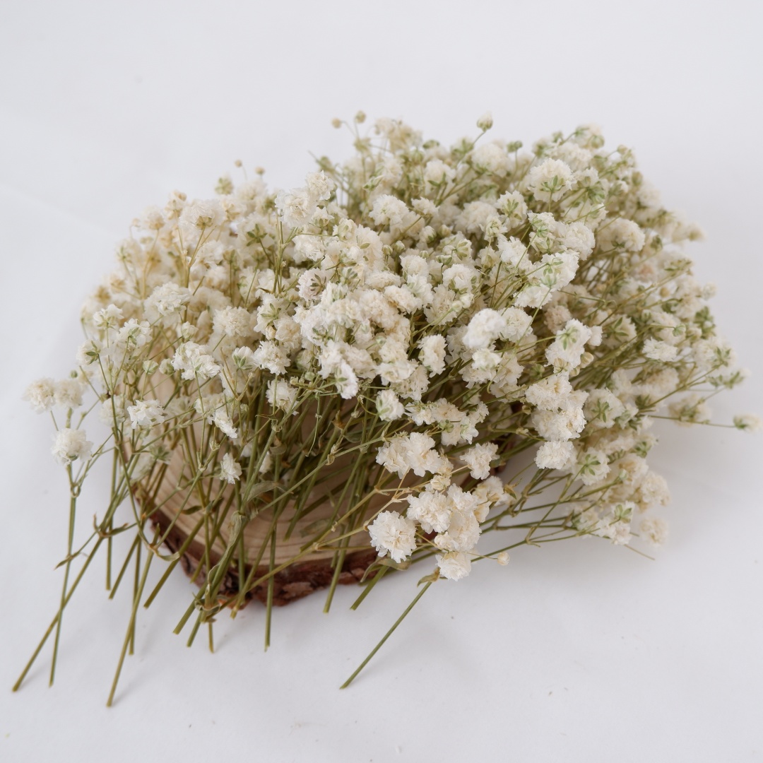 Suszone kwiaty białe mini susz – Flower Girl Basket recenzja i cena