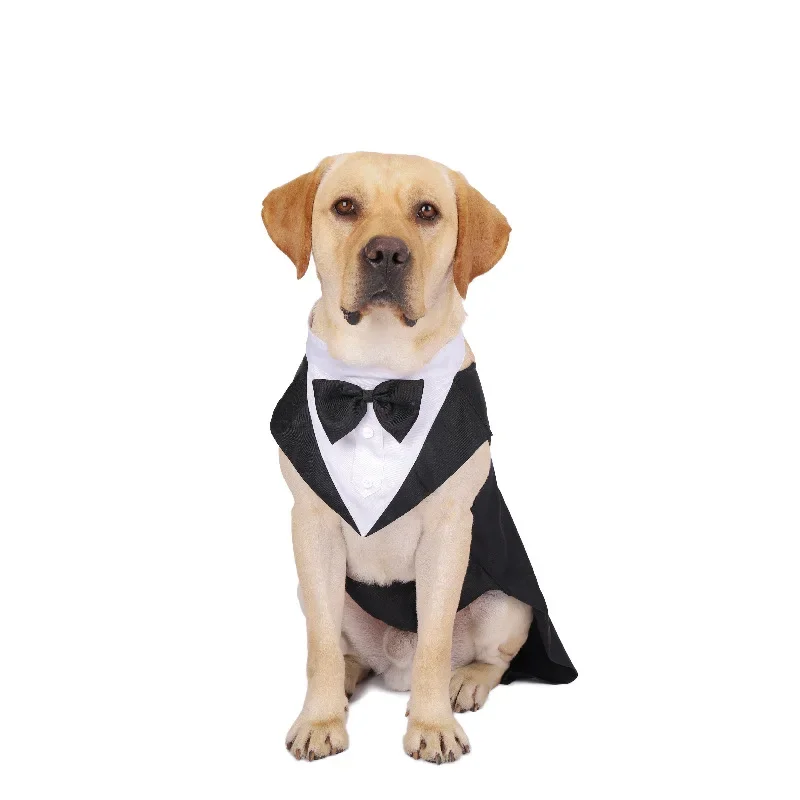 Ubrania dla psów, koszula ślub – Suitsupply Wedding Tuxedo recenzja i cena
