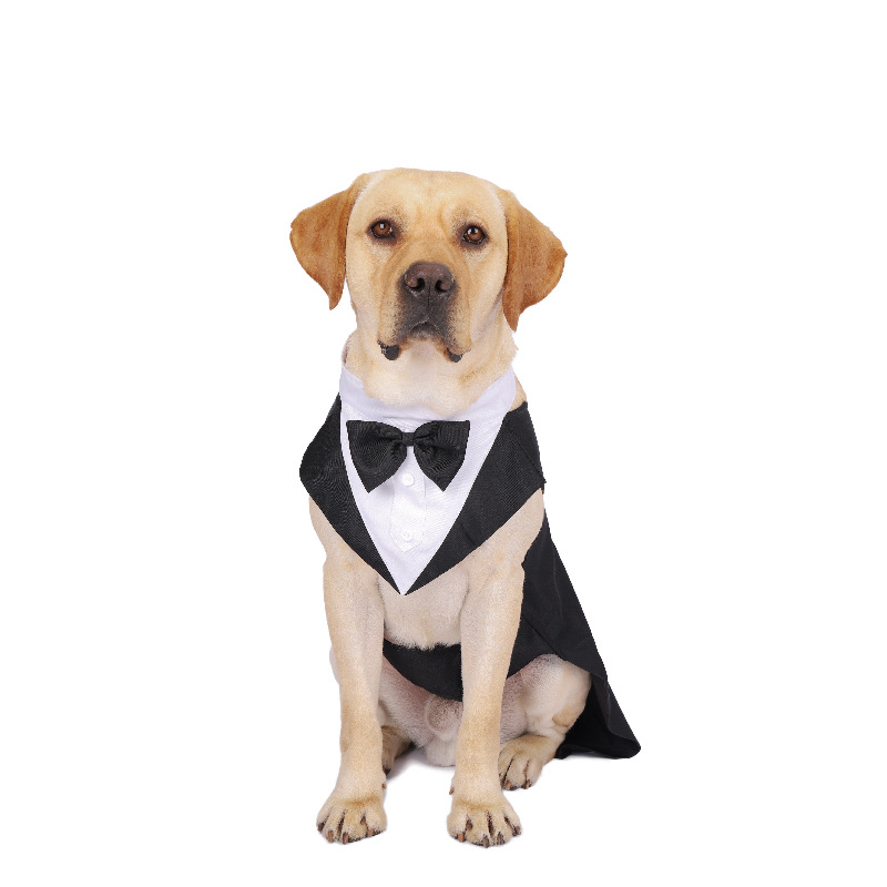 Pet Dog Clothes Fashion Party  – Suitsupply Wedding Tuxedo recenzja i cena
