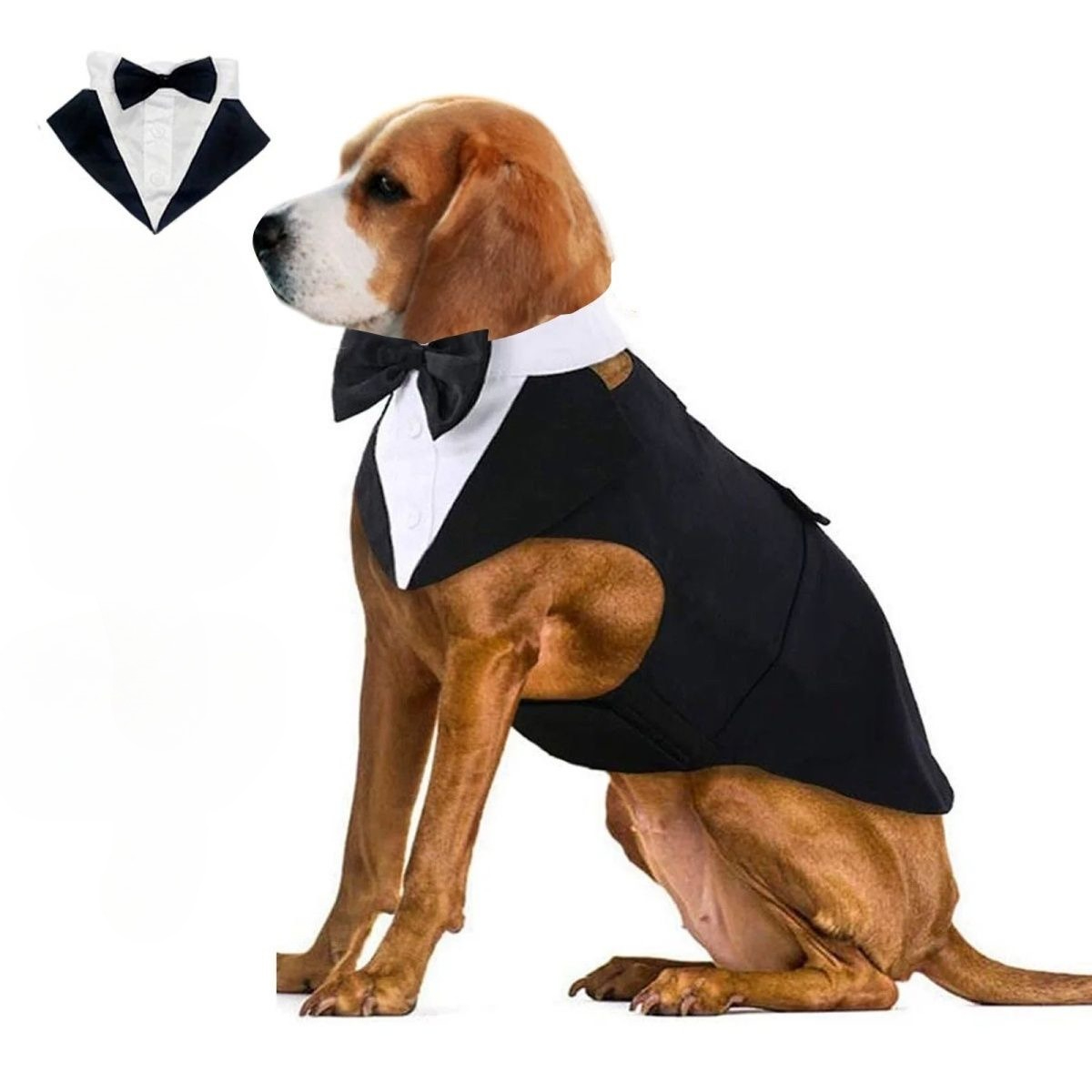 Ubrania dla psów, moda, imprez – Suitsupply Wedding Tuxedo recenzja i cena